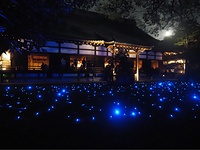 6年ぶりにライトアップされ幻想的に照らし出される宸殿。多くの参拝者でにぎわう