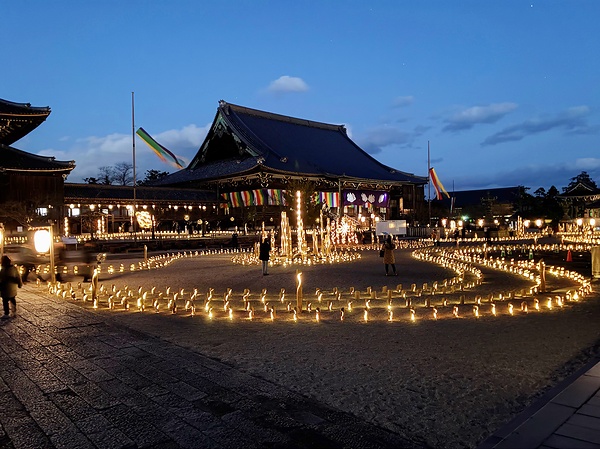 約3千の「竹あかり」が境内を幻想的に彩った（14日）