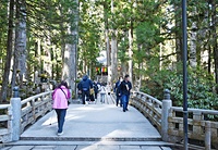 奥之院の弘法大師御廟への参道