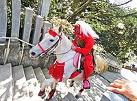 勇壮「マダラ鬼神祭」　雨引山楽法寺