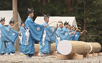 外宮の木造始祭で五丈殿の前に並べられた御料木に手斧を振り下ろす小工